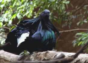 Nee, ich seh nicht so aus wegen den Berberaffen. Frechheit...